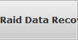 Raid Data Recovery Redman raid array